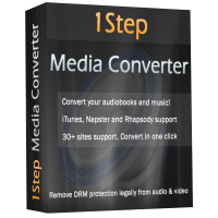 1Step Media Converter box